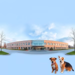 Veterinärer i Färjestaden – hitta djurkliniker & djursjukhus nära dig