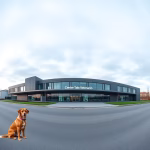 Veterinärer i Fjugesta – hitta djurkliniker & djursjukhus nära dig