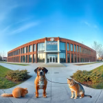 Veterinärer i Hemse – hitta djurkliniker & djursjukhus nära dig