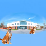 Veterinärer i Järpen – hitta djurkliniker & djursjukhus nära dig