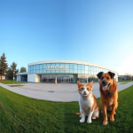 Veterinärer i Kopparberg – hitta djurkliniker & djursjukhus nära dig