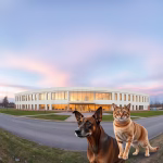 Veterinärer i Kumla – hitta djurkliniker & djursjukhus nära dig