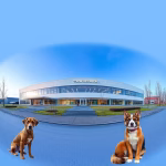 Veterinärer i Lindesberg – hitta djurkliniker & djursjukhus nära dig