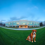 Veterinärer i Linköping – hitta djurkliniker & djursjukhus nära dig