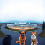 Veterinärer i Ludvika – hitta djurkliniker & djursjukhus nära dig
