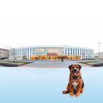 Veterinärer i Norrahammar – hitta djurkliniker & djursjukhus nära dig