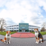 Veterinärer i Norsholm – hitta djurkliniker & djursjukhus nära dig