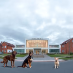 Veterinärer i Skellefteå – hitta djurkliniker & djursjukhus nära dig