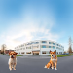 Veterinärer i Sölvesborg – hitta djurkliniker & djursjukhus nära dig