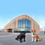 Veterinärer i Stallarholmen – hitta djurkliniker & djursjukhus nära dig