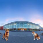 Veterinärer i Uppsala – hitta djurkliniker & djursjukhus nära dig