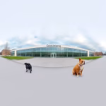 Veterinärer i Väckelsång – hitta djurkliniker & djursjukhus nära dig