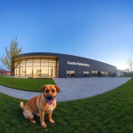 Veterinärer i Väderstad – hitta djurkliniker & djursjukhus nära dig