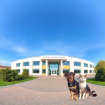 Veterinärer i Vagnhärad – hitta djurkliniker & djursjukhus nära dig