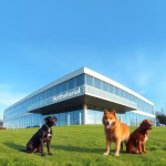 Veterinärer i Valbo – hitta djurkliniker & djursjukhus nära dig