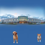 Veterinärer i Valdemarsvik – hitta djurkliniker & djursjukhus nära dig