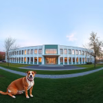 Veterinärer i Vederslöv – hitta djurkliniker & djursjukhus nära dig